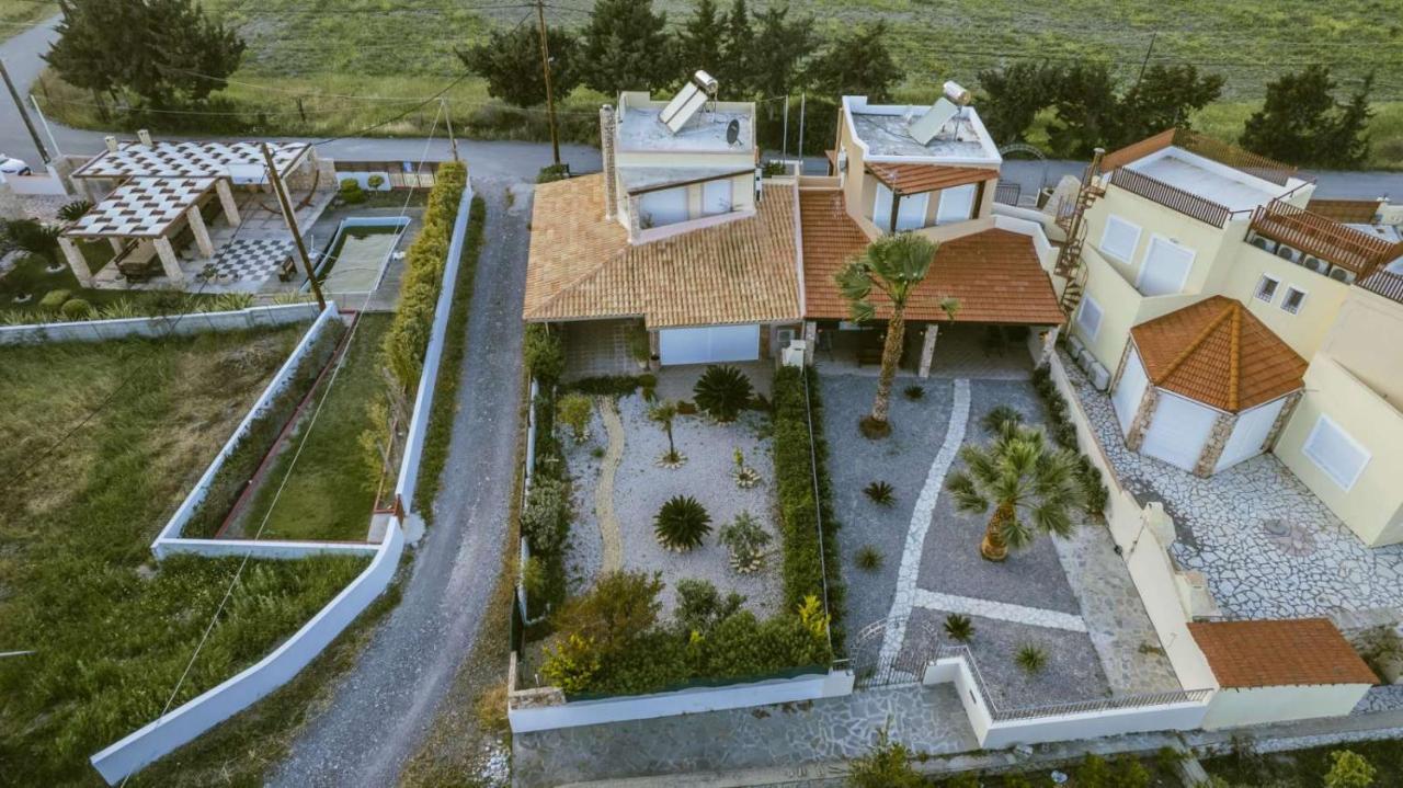 Palm View